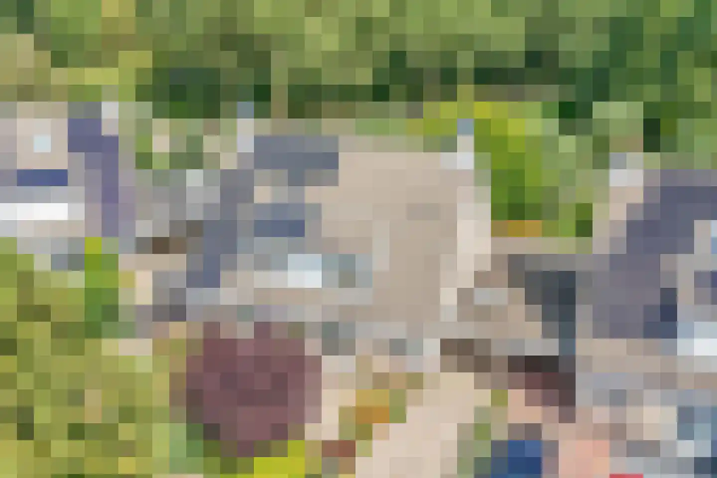 Heelkruid 6 Nieuwerkerk aan den IJssel thumbnail 6