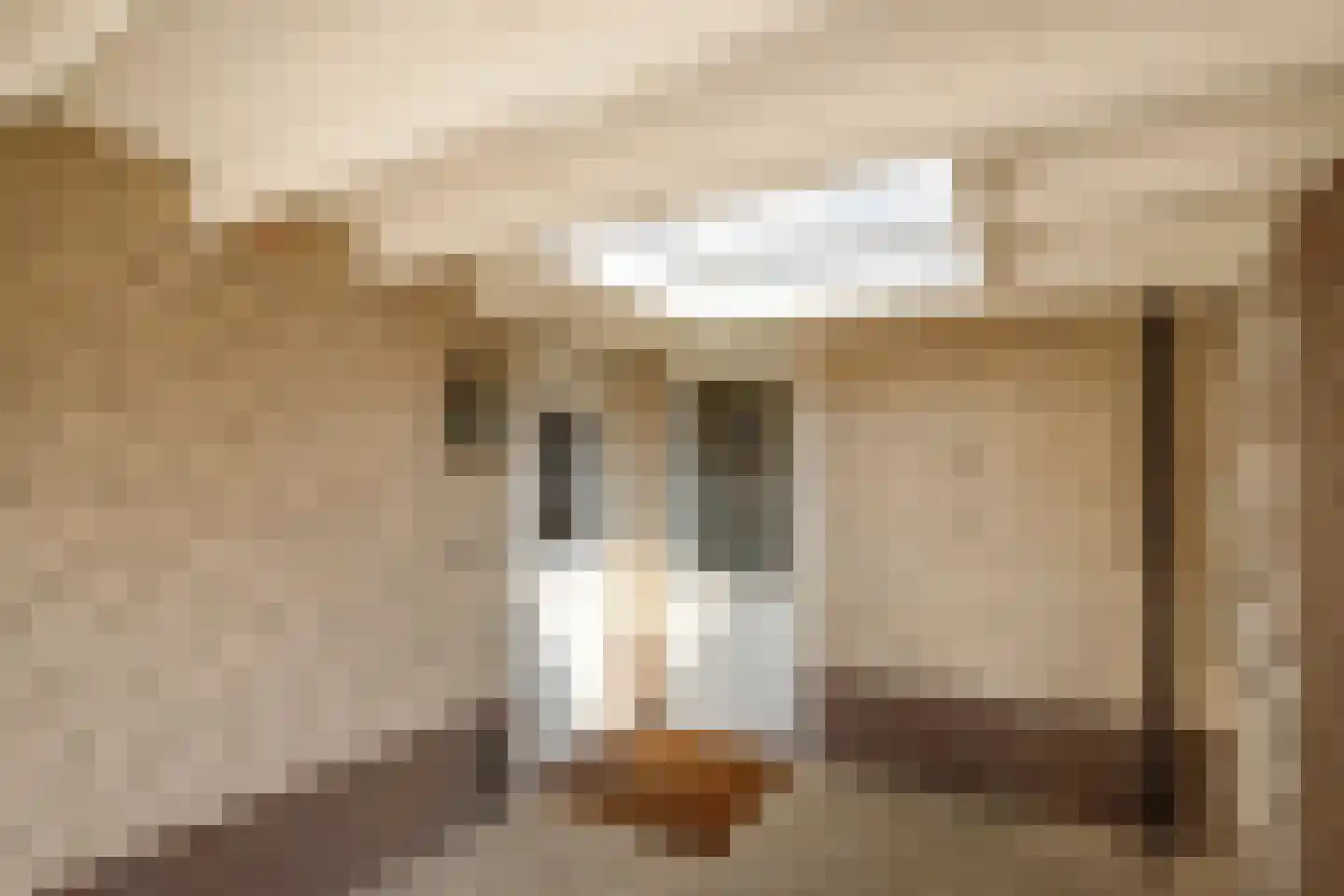 Heelkruid 6 Nieuwerkerk aan den IJssel thumbnail 8