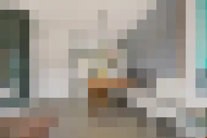 Heelmeestersdreef 103 Apeldoorn thumbnail 11