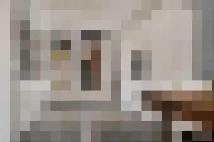 Heelmeestersdreef 103 Apeldoorn thumbnail 13