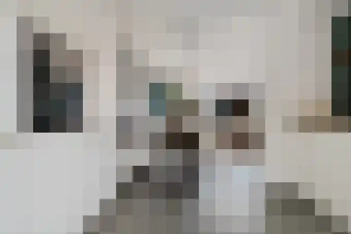 Heelmeestersdreef 103 Apeldoorn thumbnail 17