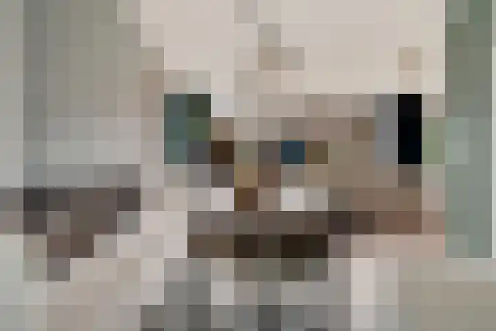 Heelmeestersdreef 103 Apeldoorn thumbnail 18