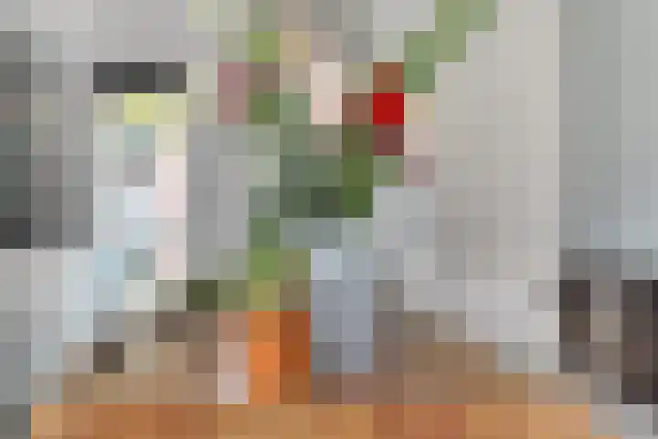 Heelmeestersdreef 103 Apeldoorn thumbnail 19