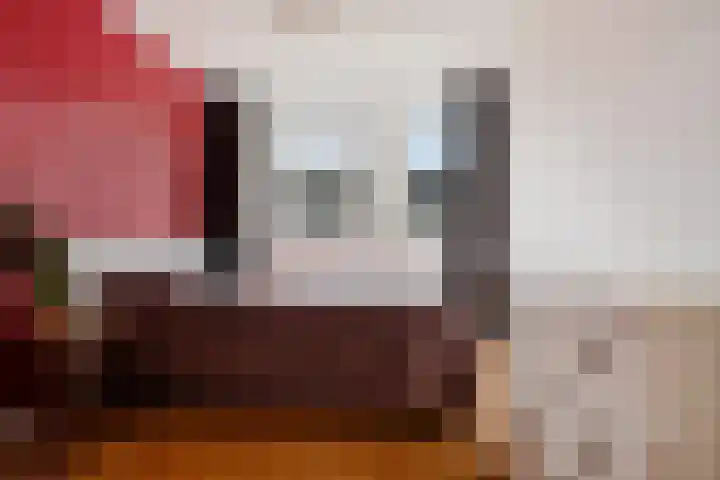 Heelmeestersdreef 103 Apeldoorn thumbnail 24