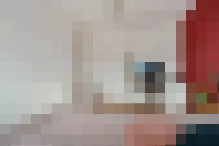Heelmeestersdreef 103 Apeldoorn thumbnail 26