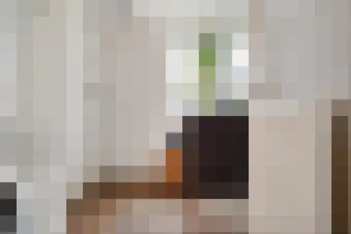 Heelmeestersdreef 103 Apeldoorn thumbnail 29