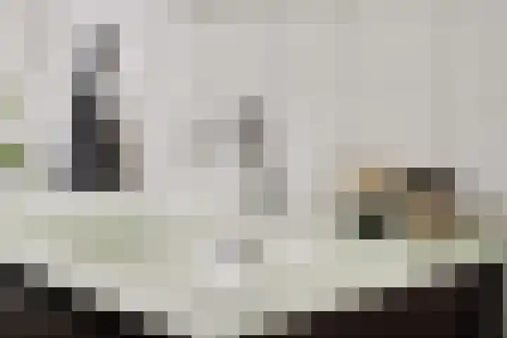 Heelmeestersdreef 103 Apeldoorn thumbnail 30