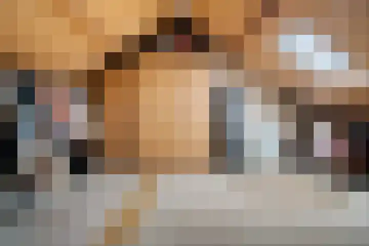 Heelmeestersdreef 103 Apeldoorn thumbnail 32