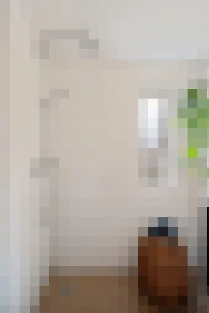 Heelmeestersdreef 103 Apeldoorn thumbnail 34