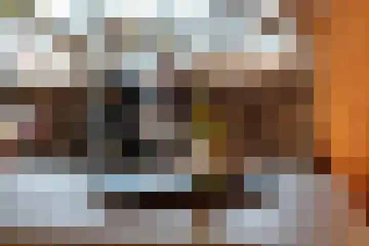 Heelmeestersdreef 103 Apeldoorn thumbnail 38