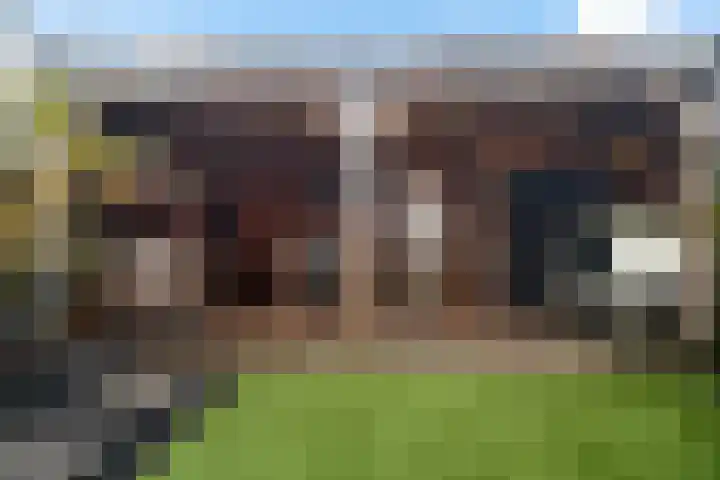 Heelmeestersdreef 103 Apeldoorn thumbnail 39