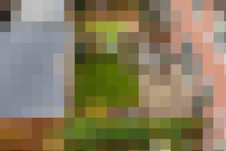 Heelmeestersdreef 103 Apeldoorn thumbnail 42