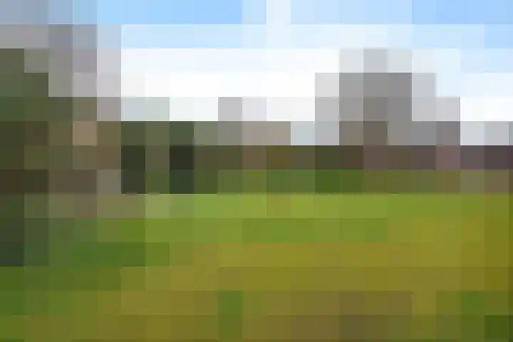 Heelmeestersdreef 103 Apeldoorn thumbnail 45