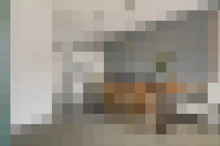 Heelmeestersdreef 103 Apeldoorn thumbnail 9
