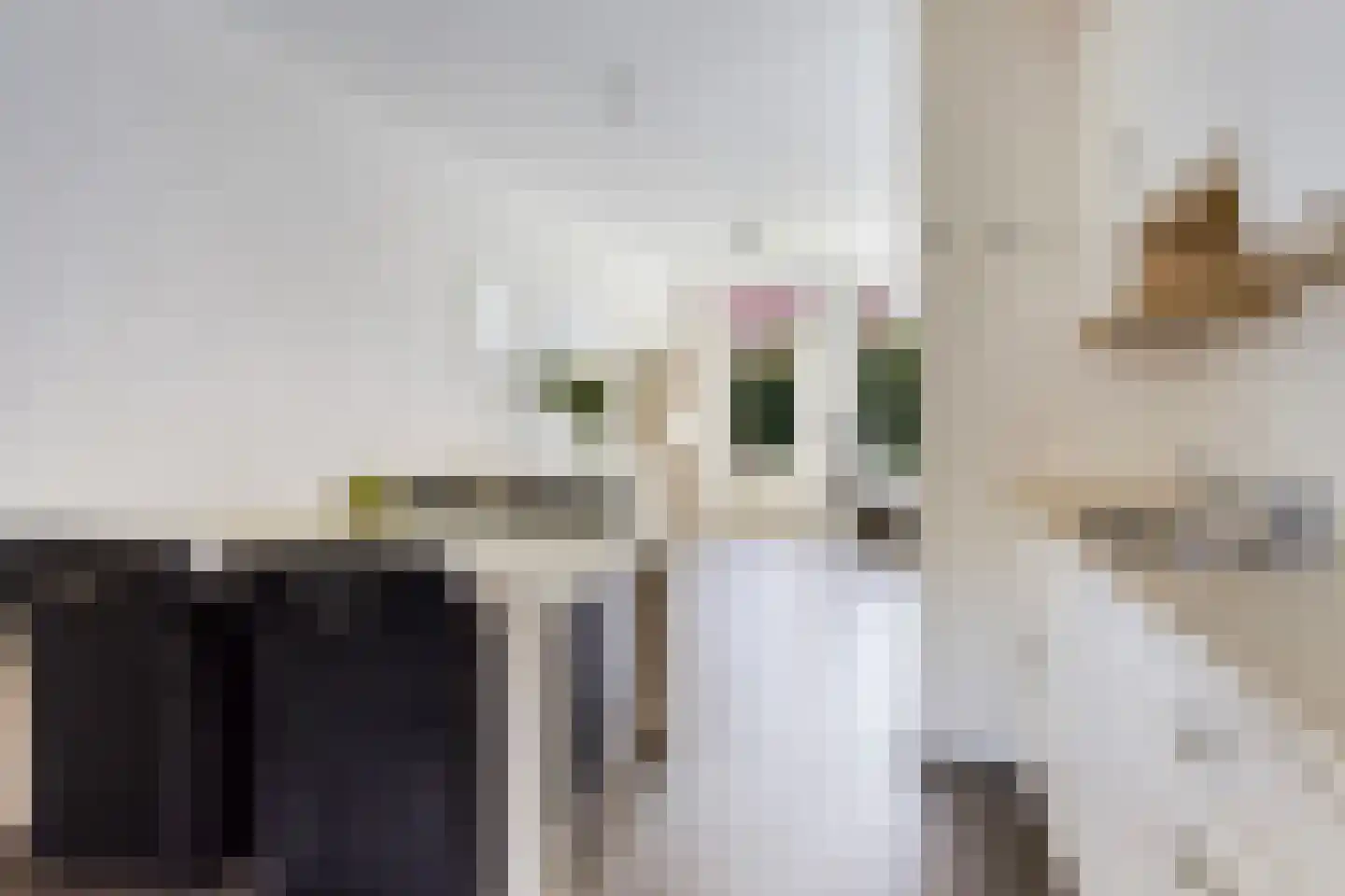 Heelmeestersdreef 111 Apeldoorn thumbnail 12