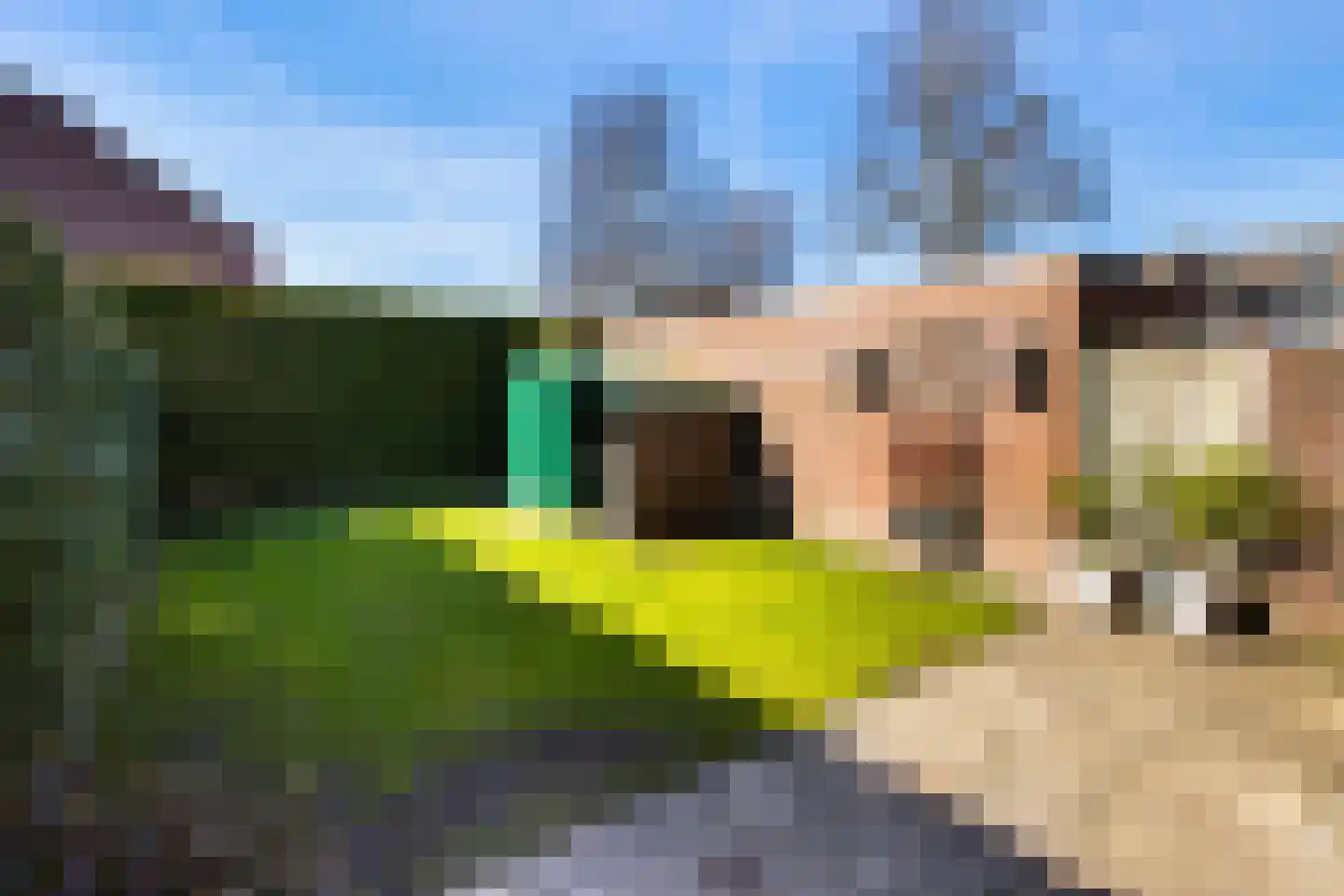 Heelmeestersdreef 111 Apeldoorn thumbnail 14
