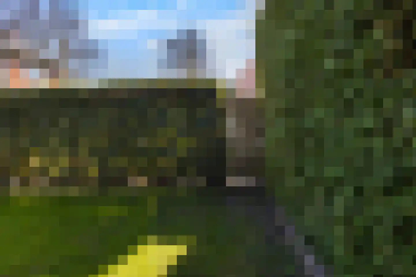 Heelmeestersdreef 111 Apeldoorn thumbnail 19