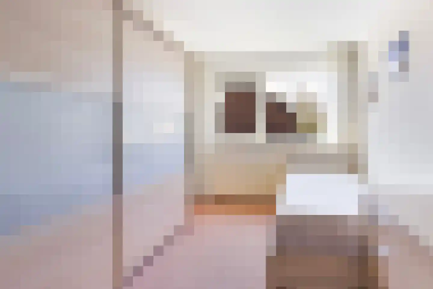 Heelmeestersdreef 111 Apeldoorn thumbnail 24