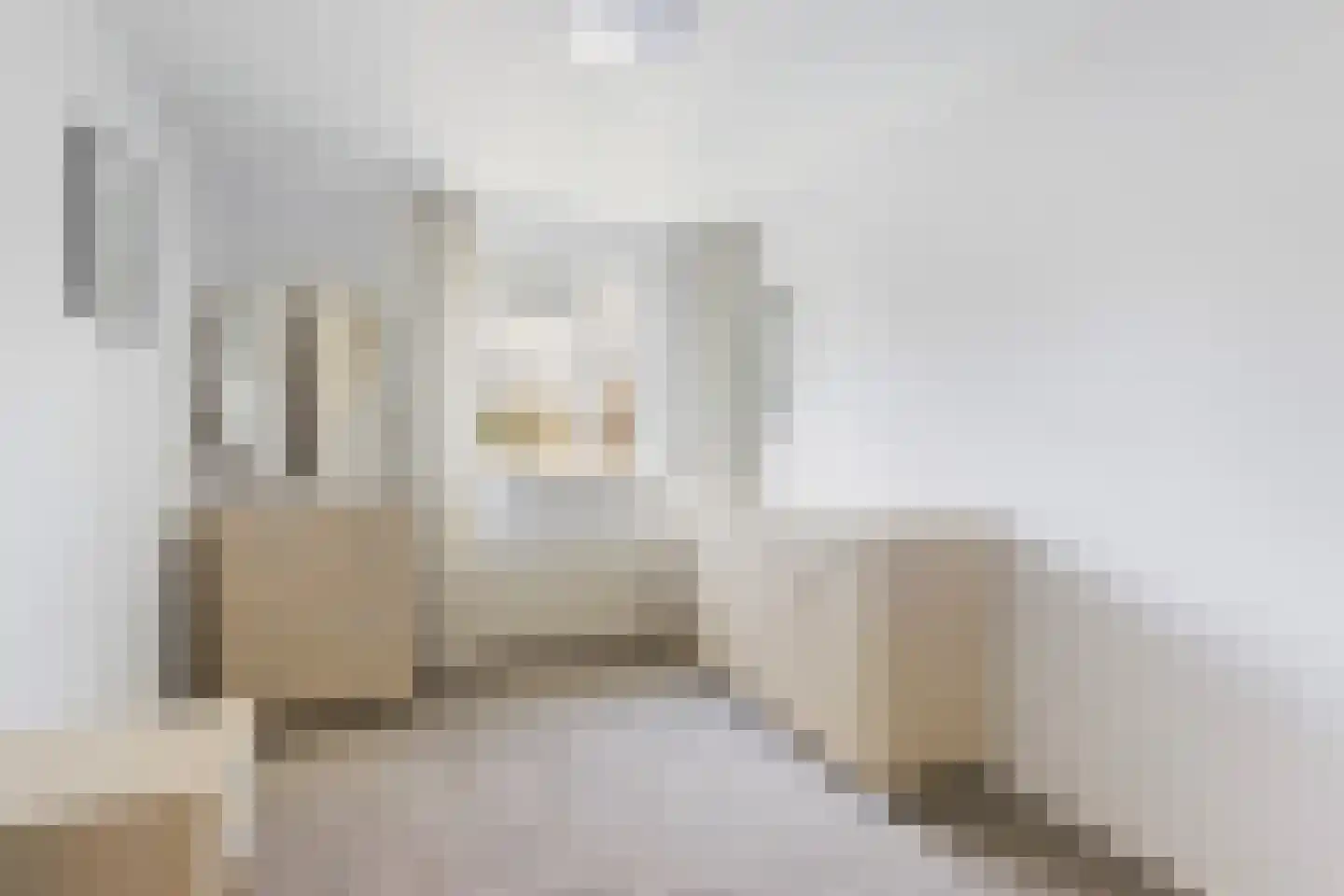 Heelmeestersdreef 111 Apeldoorn thumbnail 25