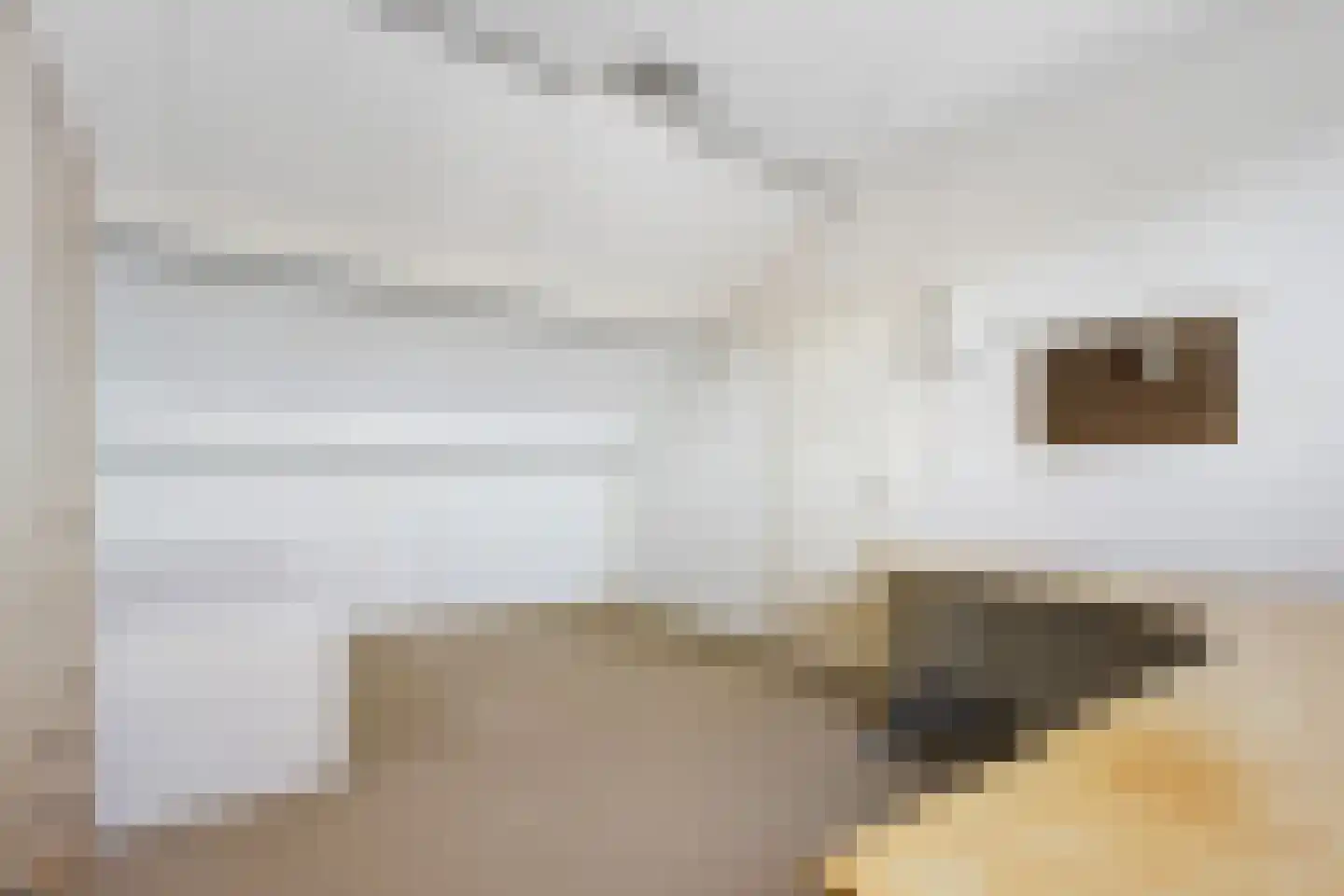 Heelmeestersdreef 111 Apeldoorn thumbnail 28
