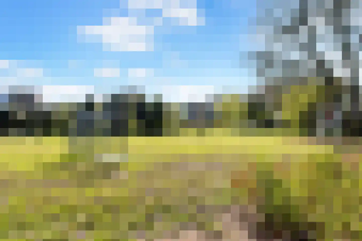 Heelmeestersdreef 111 Apeldoorn thumbnail 32