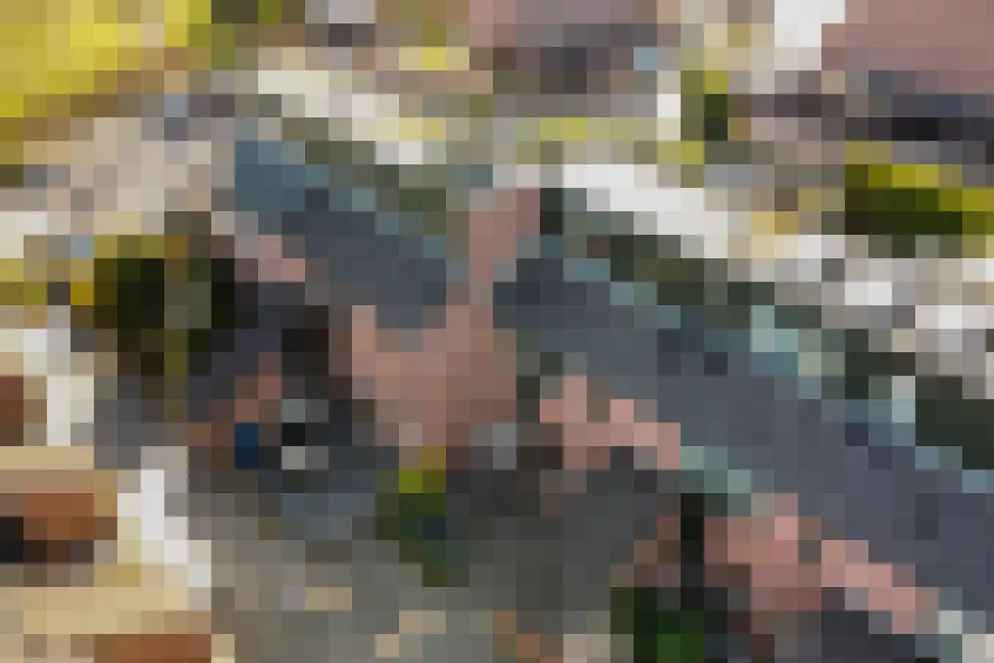 Heelmeestersdreef 111 Apeldoorn thumbnail 35