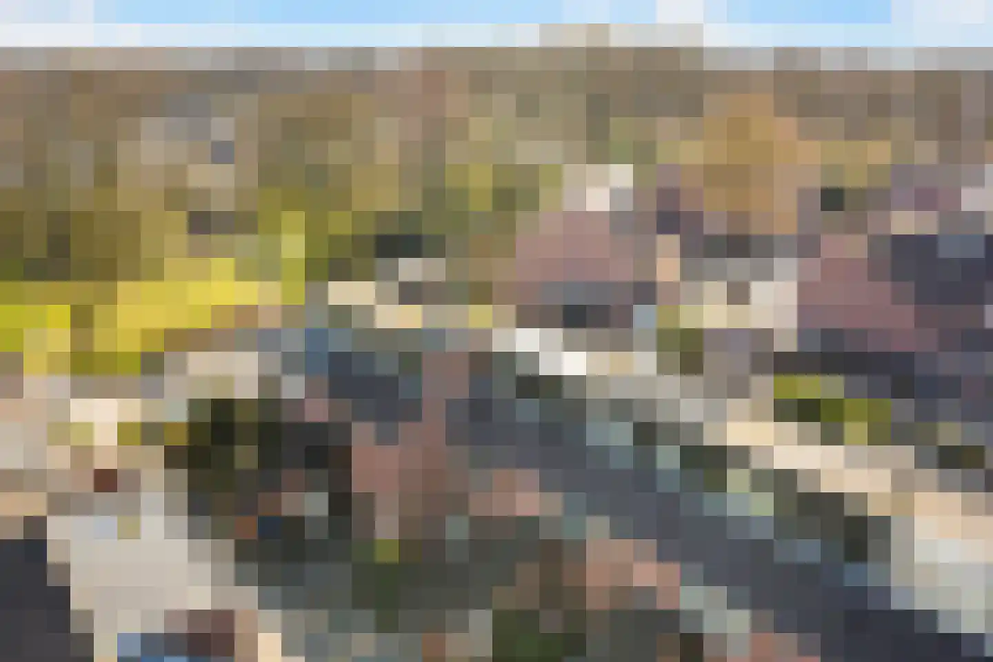 Heelmeestersdreef 111 Apeldoorn thumbnail 36