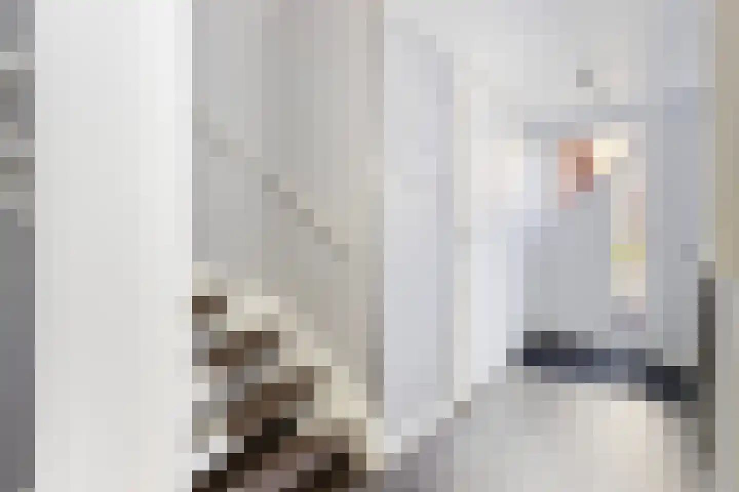 Heelmeestersdreef 111 Apeldoorn thumbnail 6