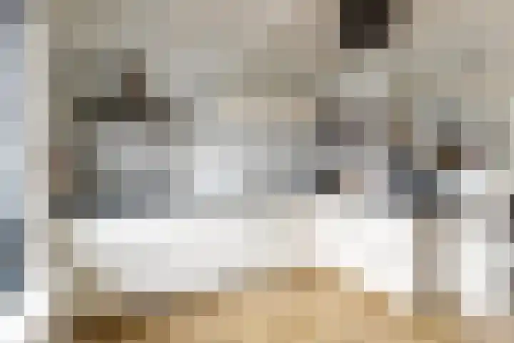 Heelmeestersdreef 326 Apeldoorn thumbnail 10