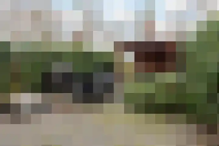 Heelmeestersdreef 326 Apeldoorn thumbnail 15