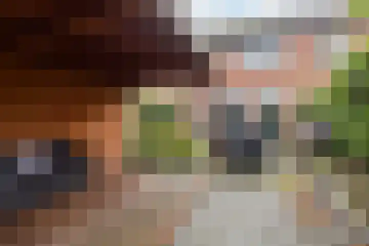 Heelmeestersdreef 326 Apeldoorn thumbnail 16