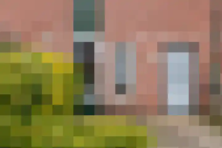 Heelmeestersdreef 326 Apeldoorn thumbnail 19