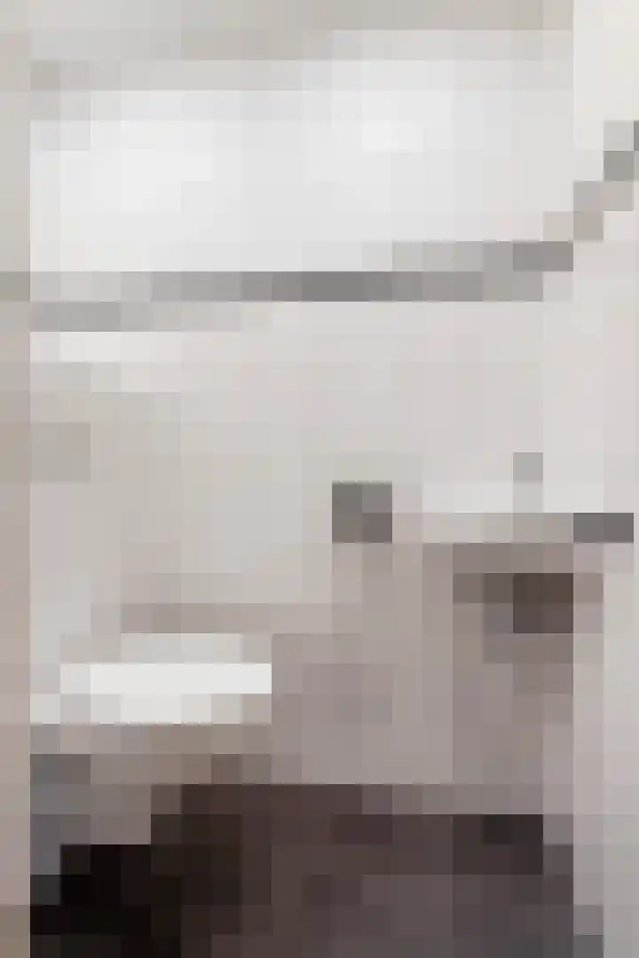 Heelmeestersdreef 326 Apeldoorn thumbnail 20