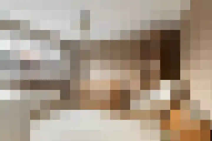 Heelmeestersdreef 326 Apeldoorn thumbnail 26