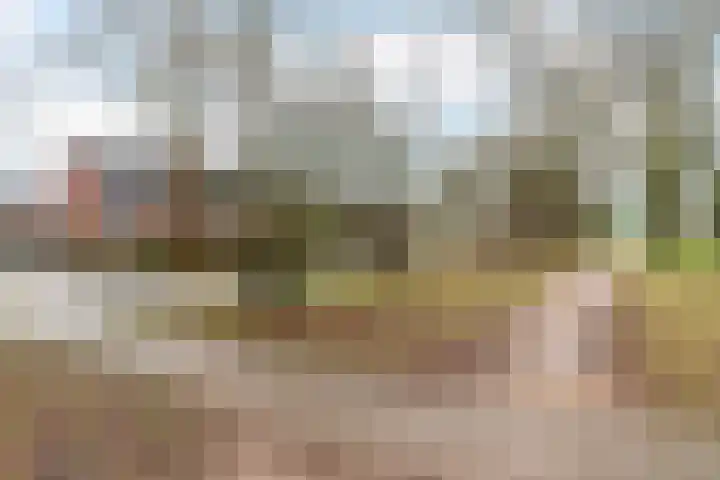 Heelmeestersdreef 326 Apeldoorn thumbnail 32