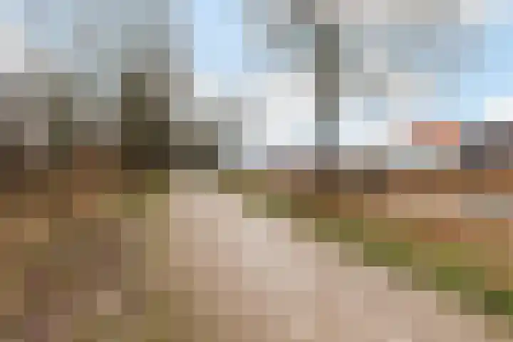 Heelmeestersdreef 326 Apeldoorn thumbnail 33