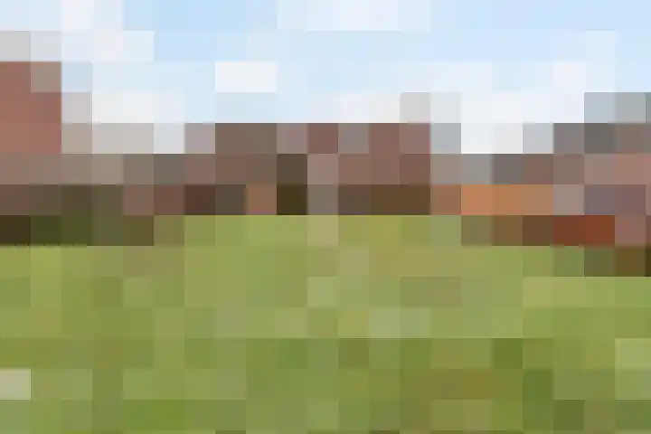 Heelmeestersdreef 326 Apeldoorn thumbnail 34