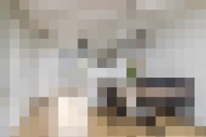 Heelmeestersdreef 326 Apeldoorn thumbnail 4