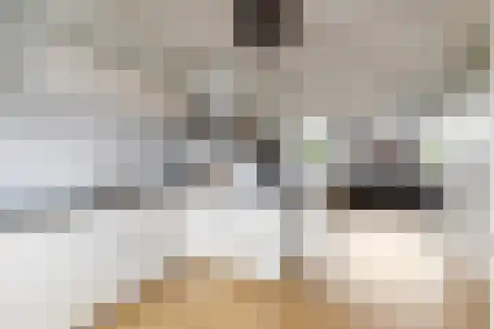 Heelmeestersdreef 326 Apeldoorn thumbnail 5