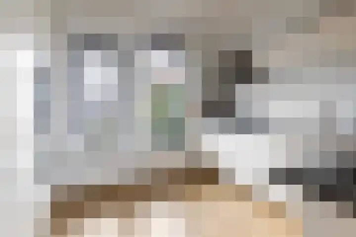 Heelmeestersdreef 326 Apeldoorn thumbnail 6
