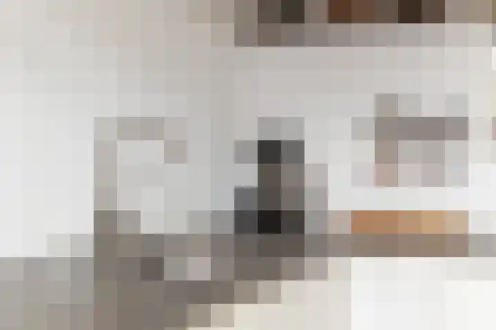 Heelmeestersdreef 326 Apeldoorn thumbnail 7