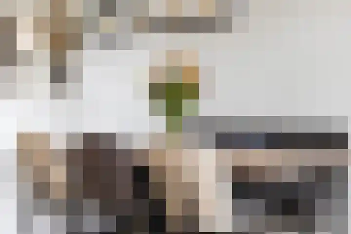 Heelmeestersdreef 326 Apeldoorn thumbnail 9