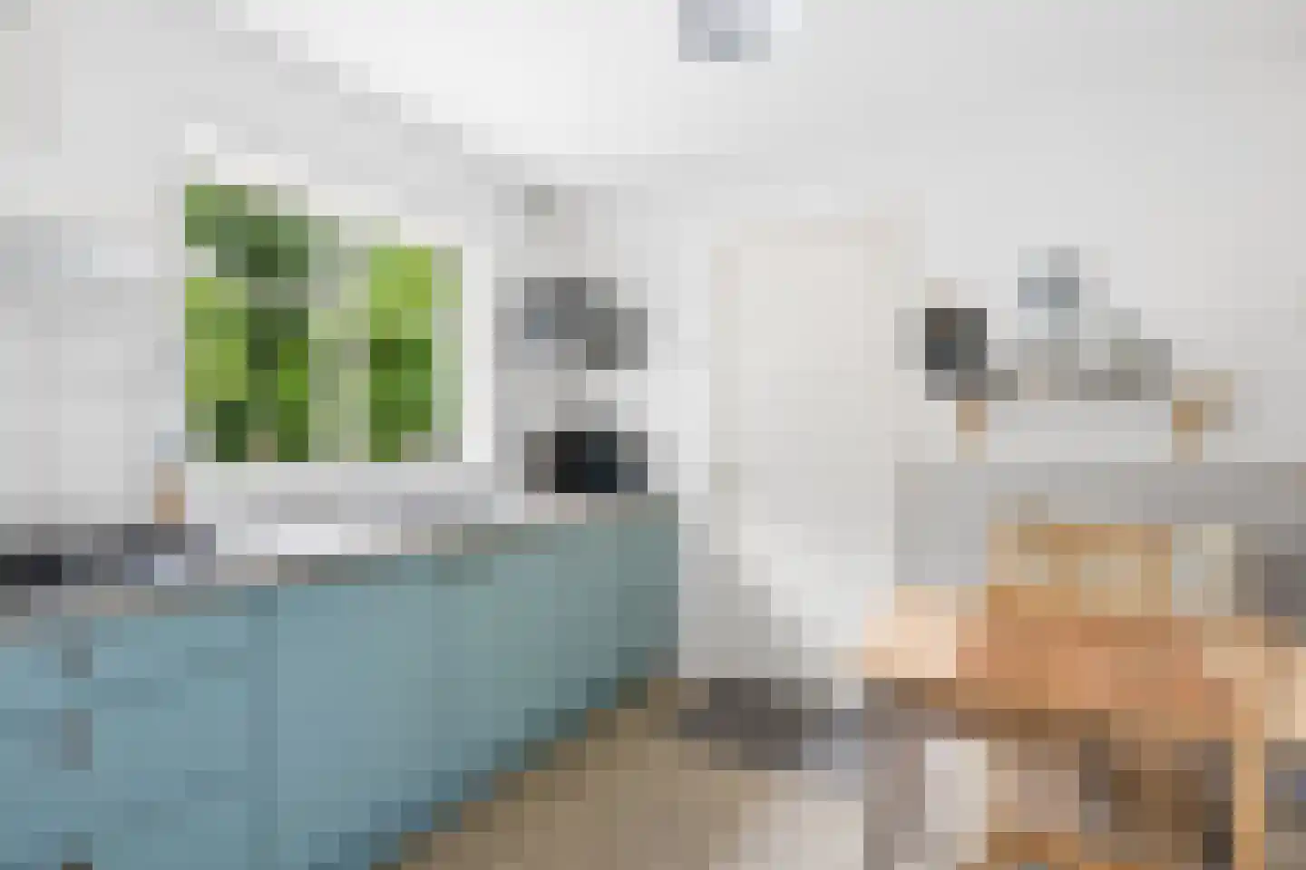 Heelsumseweg 15 Wolfheze thumbnail 13