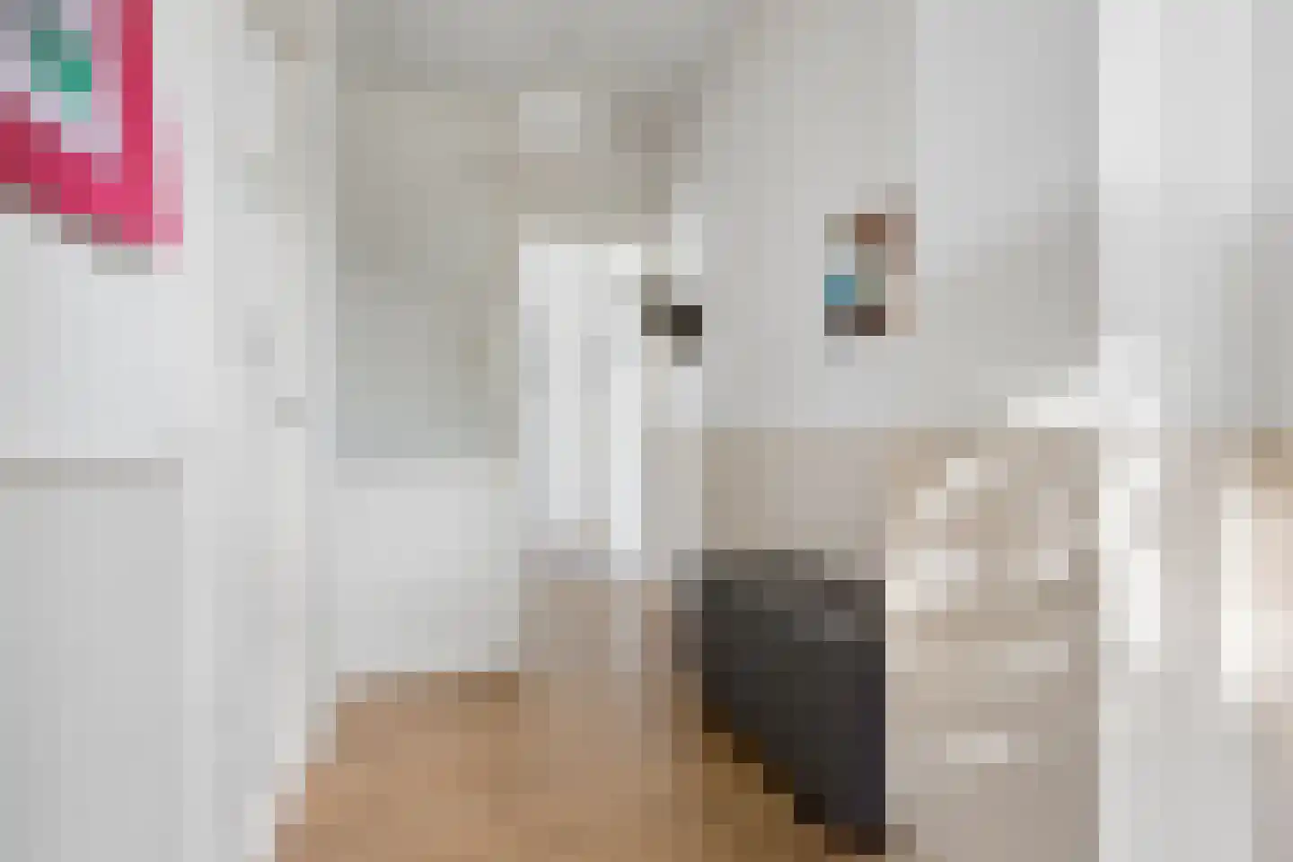 Heelsumseweg 15 Wolfheze thumbnail 27