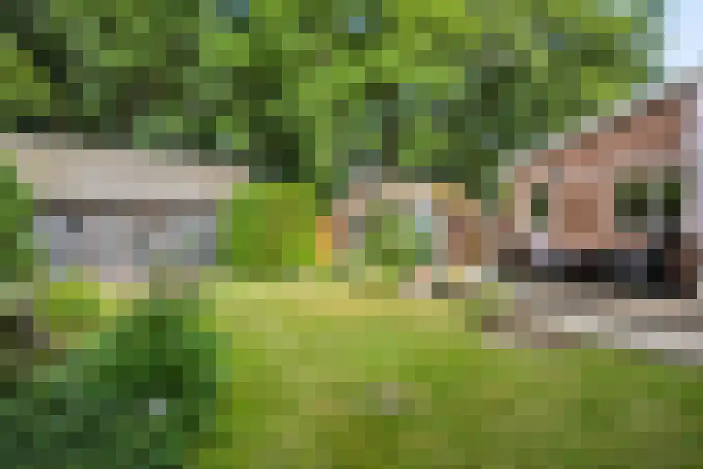 Heelsumseweg 15 Wolfheze thumbnail 30