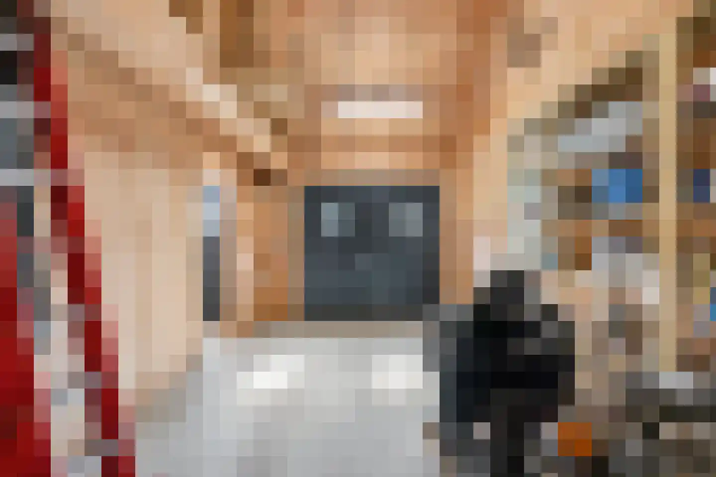 Heelsumseweg 15 Wolfheze thumbnail 33