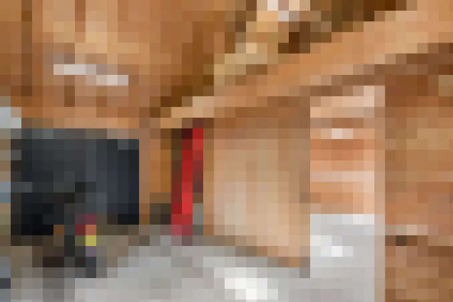 Heelsumseweg 15 Wolfheze thumbnail 34