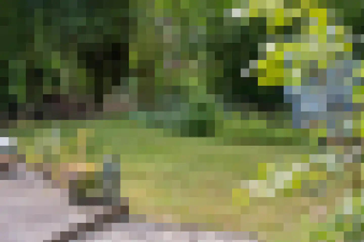 Heelsumseweg 15 Wolfheze thumbnail 37