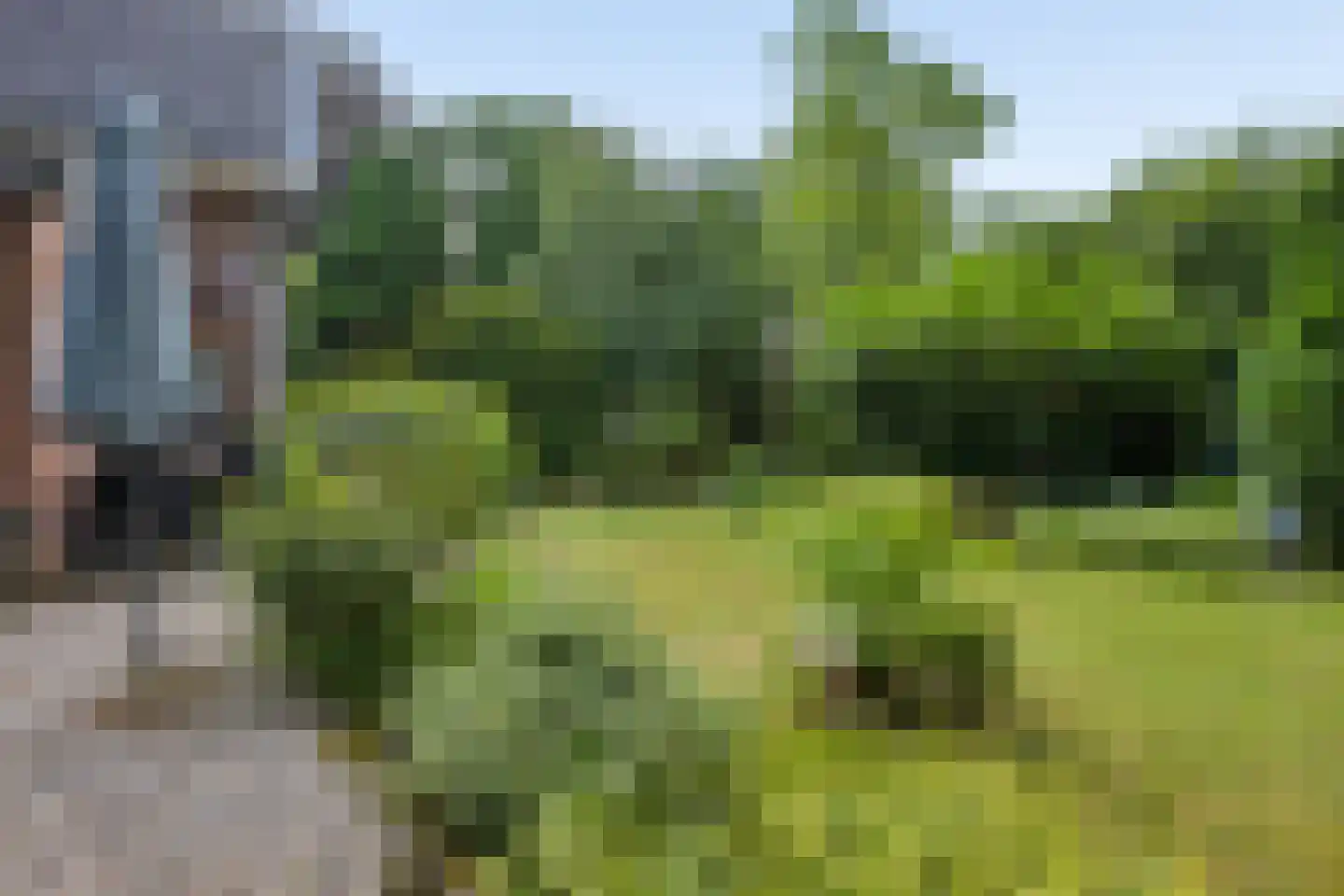 Heelsumseweg 15 Wolfheze thumbnail 39