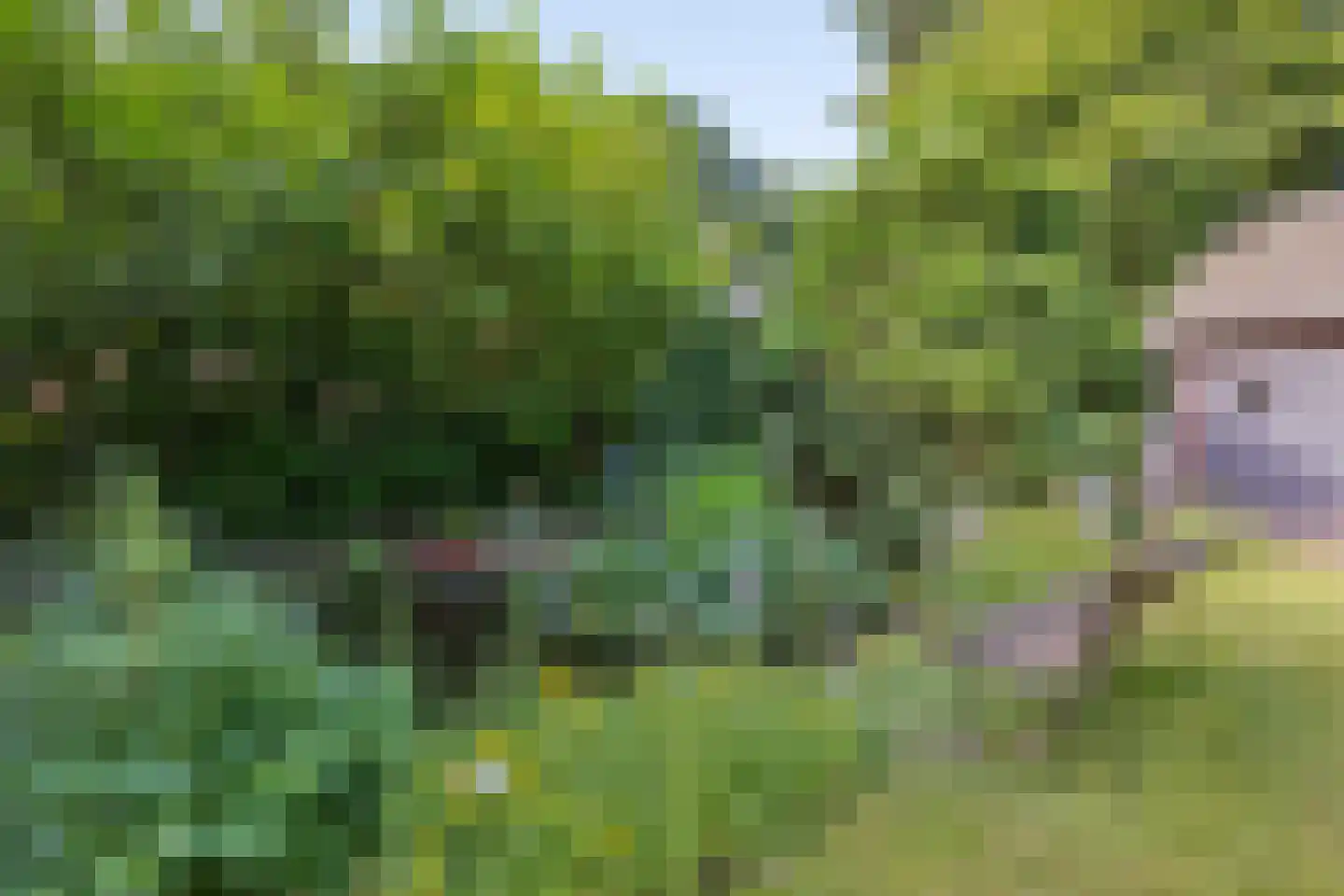 Heelsumseweg 15 Wolfheze thumbnail 40